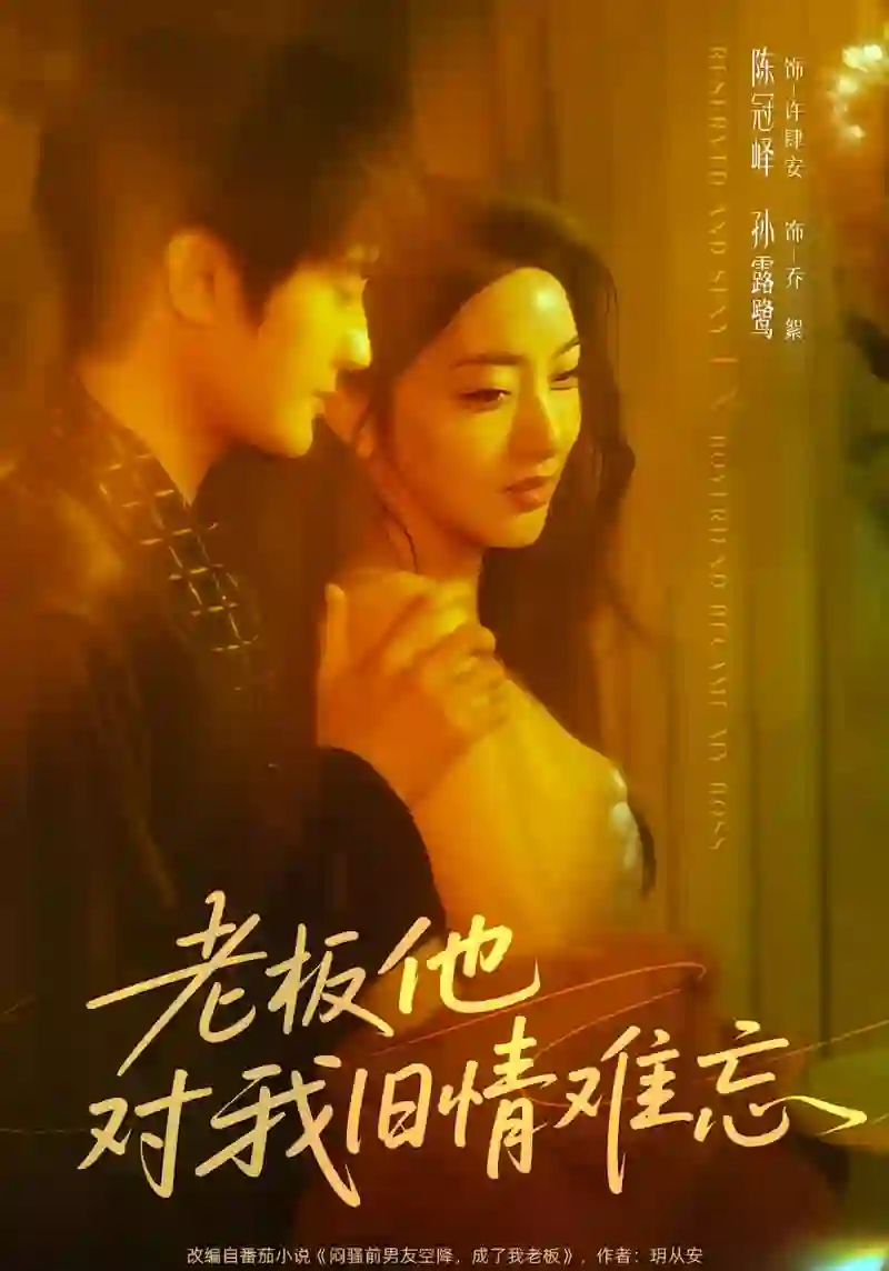 老板他对我旧情难忘